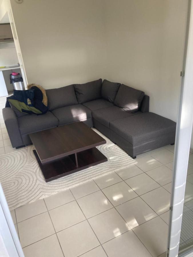 Appartement Meuble Τουλούζη Εξωτερικό φωτογραφία